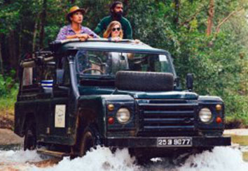Tourists on a safari jeep