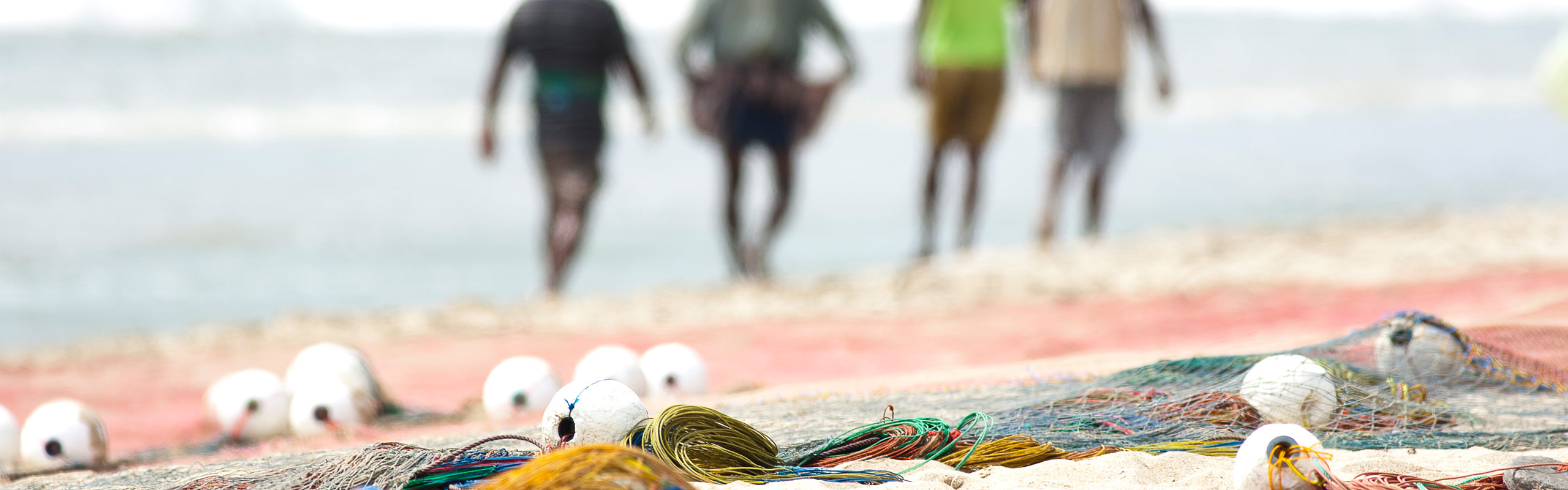 travel-insurance-in-sri-lanka-tourist-visa-soultrek