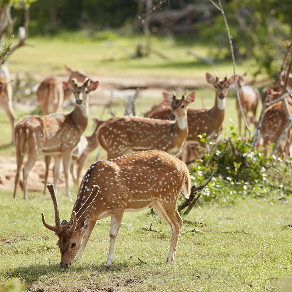Pick a tour of our choice of offers and inspirations