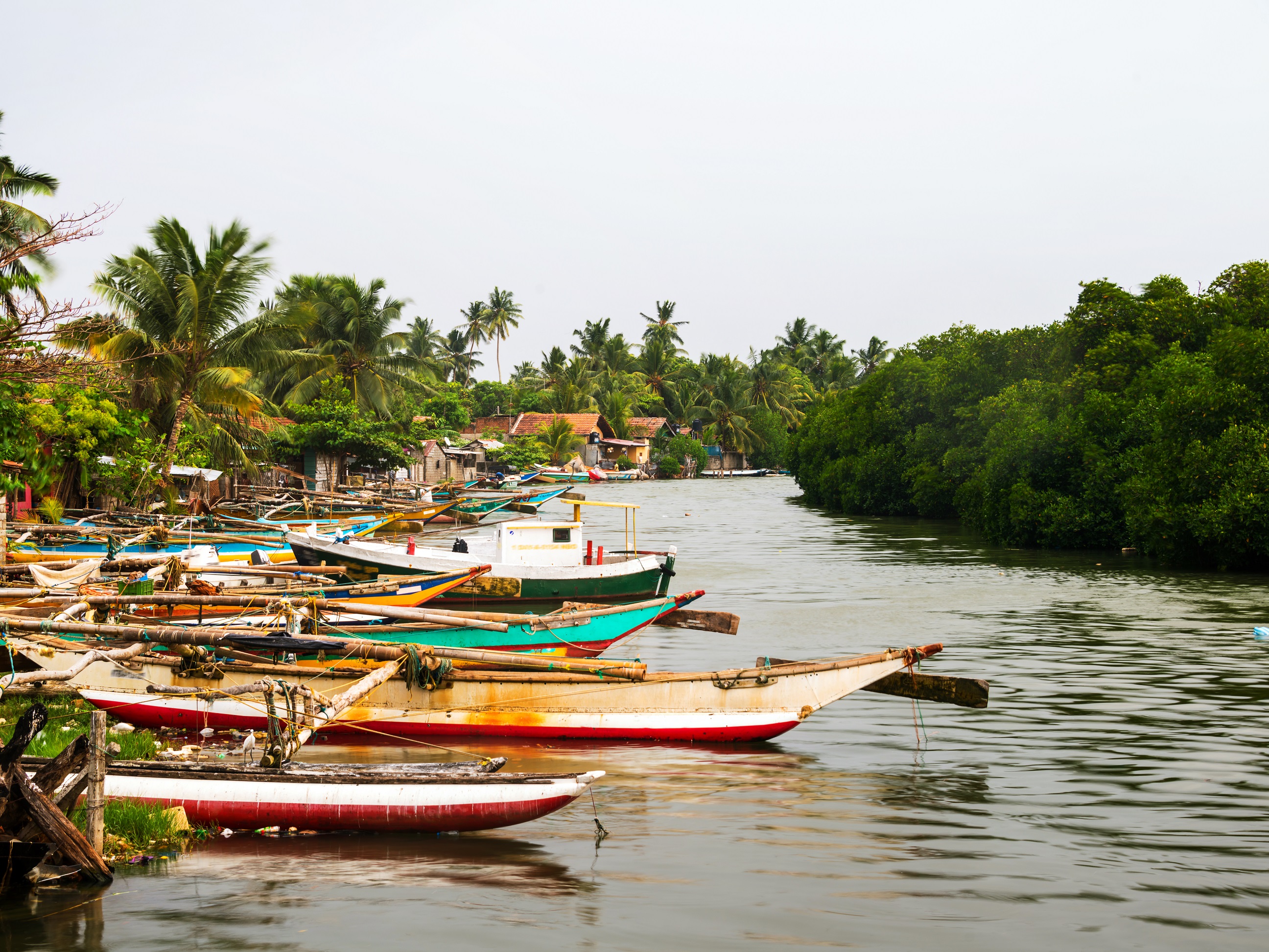 Sri Lanka - Negombo- Boats at little fishermen village in Negombo