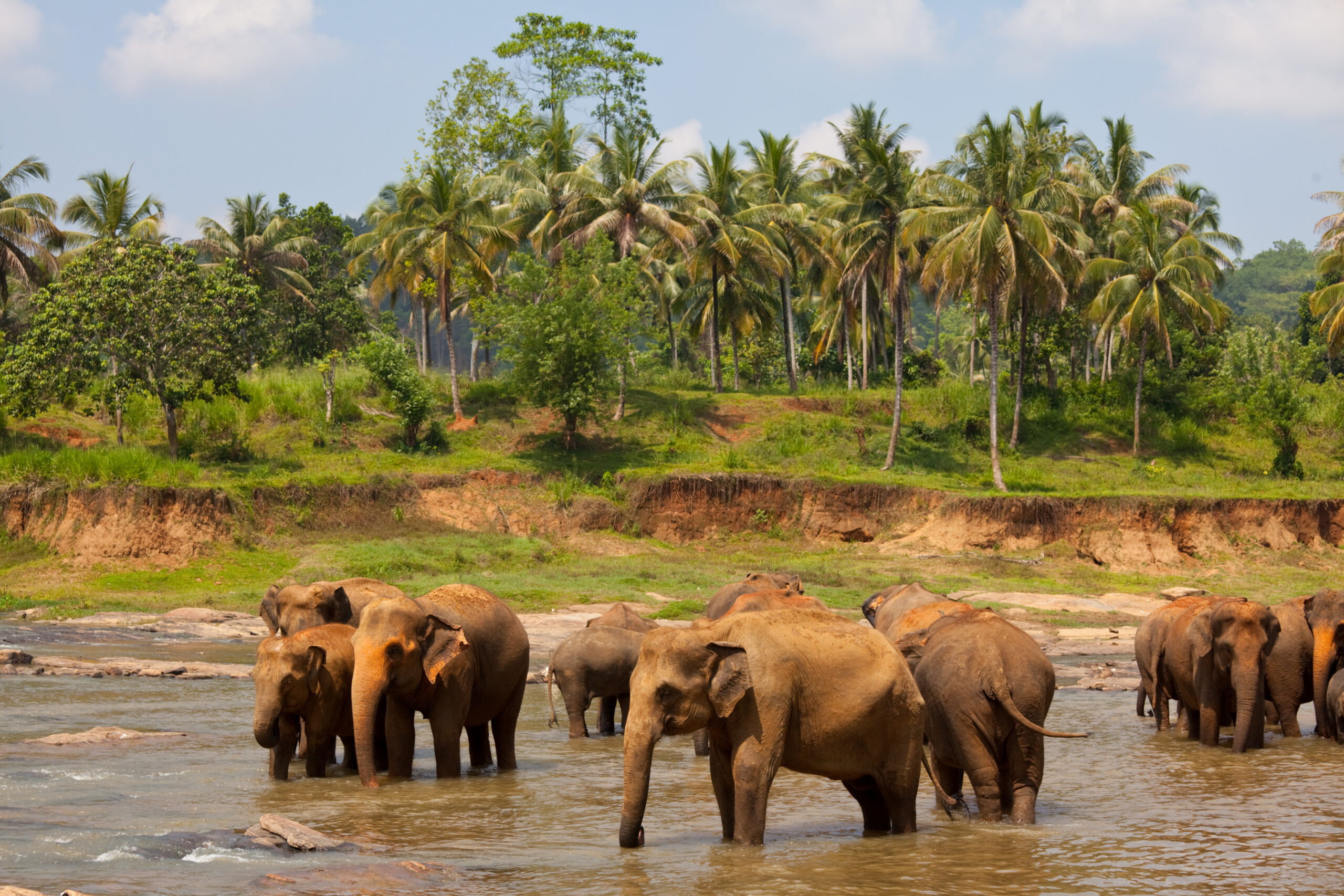 Top 5 Places to Visit in Sri Lanka in January 2027 | SoulTrek Travel ...
